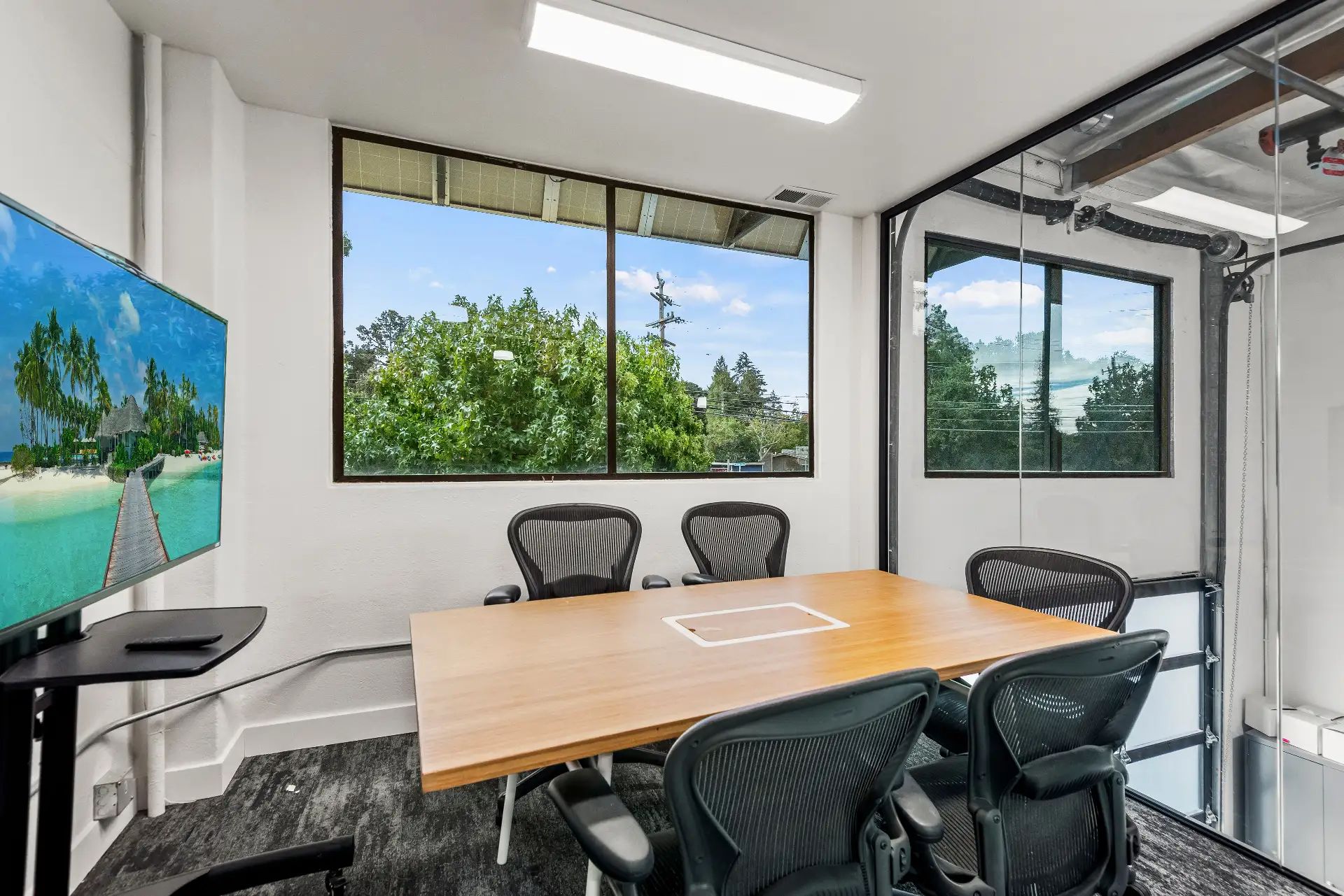 Professional office suite with natural lighting