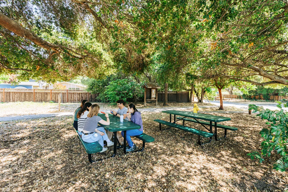 Natural Picnic Tables